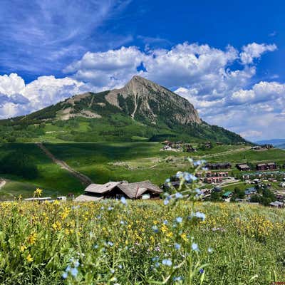 20 BUTTERCUP LN, CRESTED BUTTE, CO 81225 - Image 1