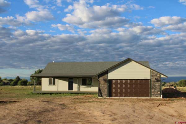 21030 NORTH RD, ECKERT, CO 81418 - Image 1