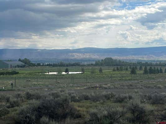 LOT 3 6300 ROAD, MONTROSE, CO 81403 - Image 1