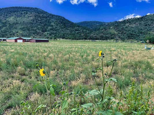 TBD HIDDEN VIEW DRIVE, SOUTH FORK, CO 81154 - Image 1