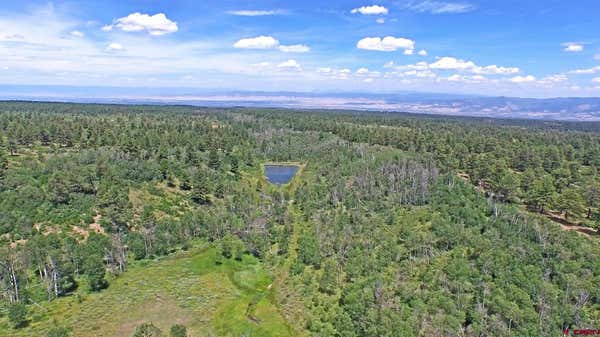 TBD ELK MEADOWS GOVERNMENT SPRINGS ROAD ROADS, MONTROSE, CO 81403, photo 3 of 14