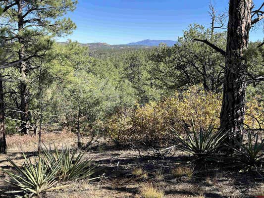 TBD RANCHO LA GARITA LOT 1147, WESTON, CO 81082 - Image 1