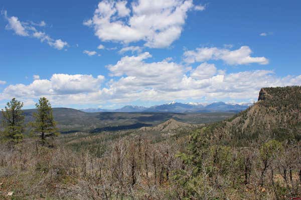 1112 GUN BARREL RD, PAGOSA SPRINGS, CO 81147, photo 3 of 35