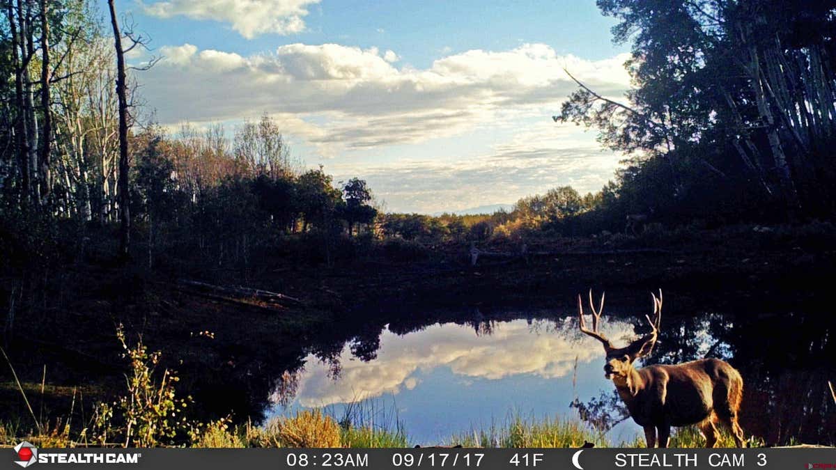 TBD ELK MEADOWS GOVERNMENT SPRINGS ROAD ROADS, MONTROSE, CO 81403, photo 1 of 14