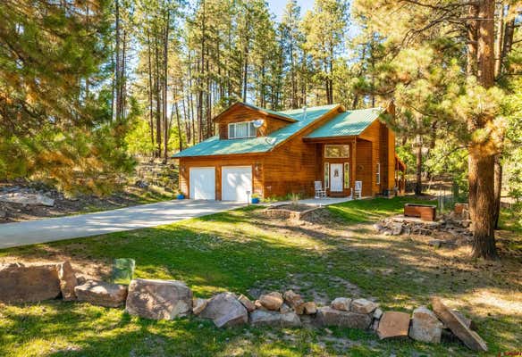 247 MESA DR, BAYFIELD, CO 81122 - Image 1