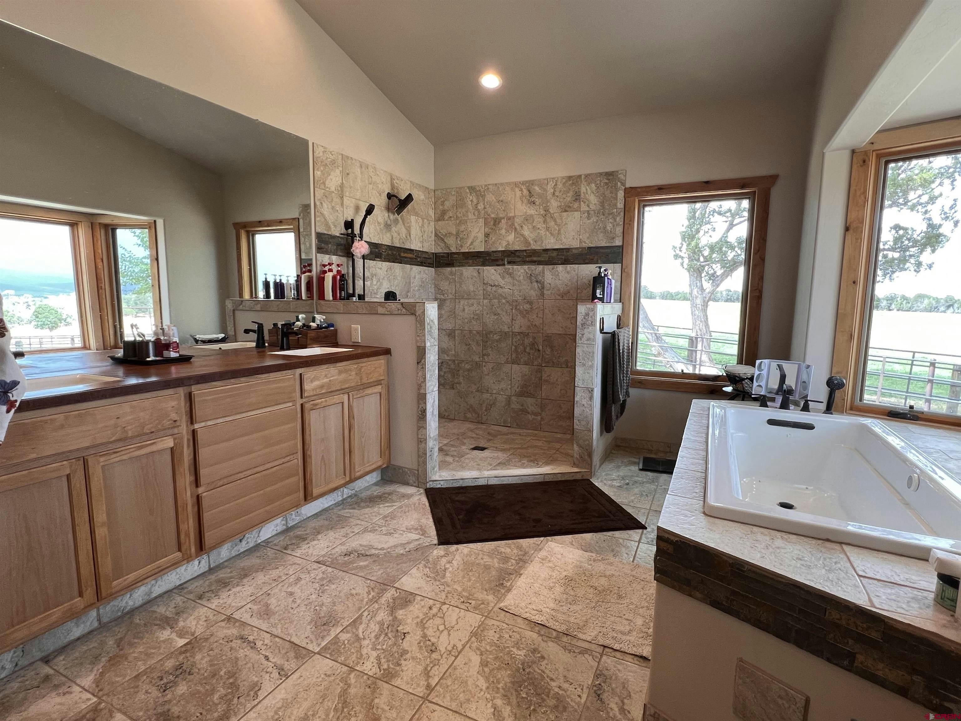 Montrose, Colorado, 81401, United States, ,2 BathroomsBathrooms,Residential,Active,1703370