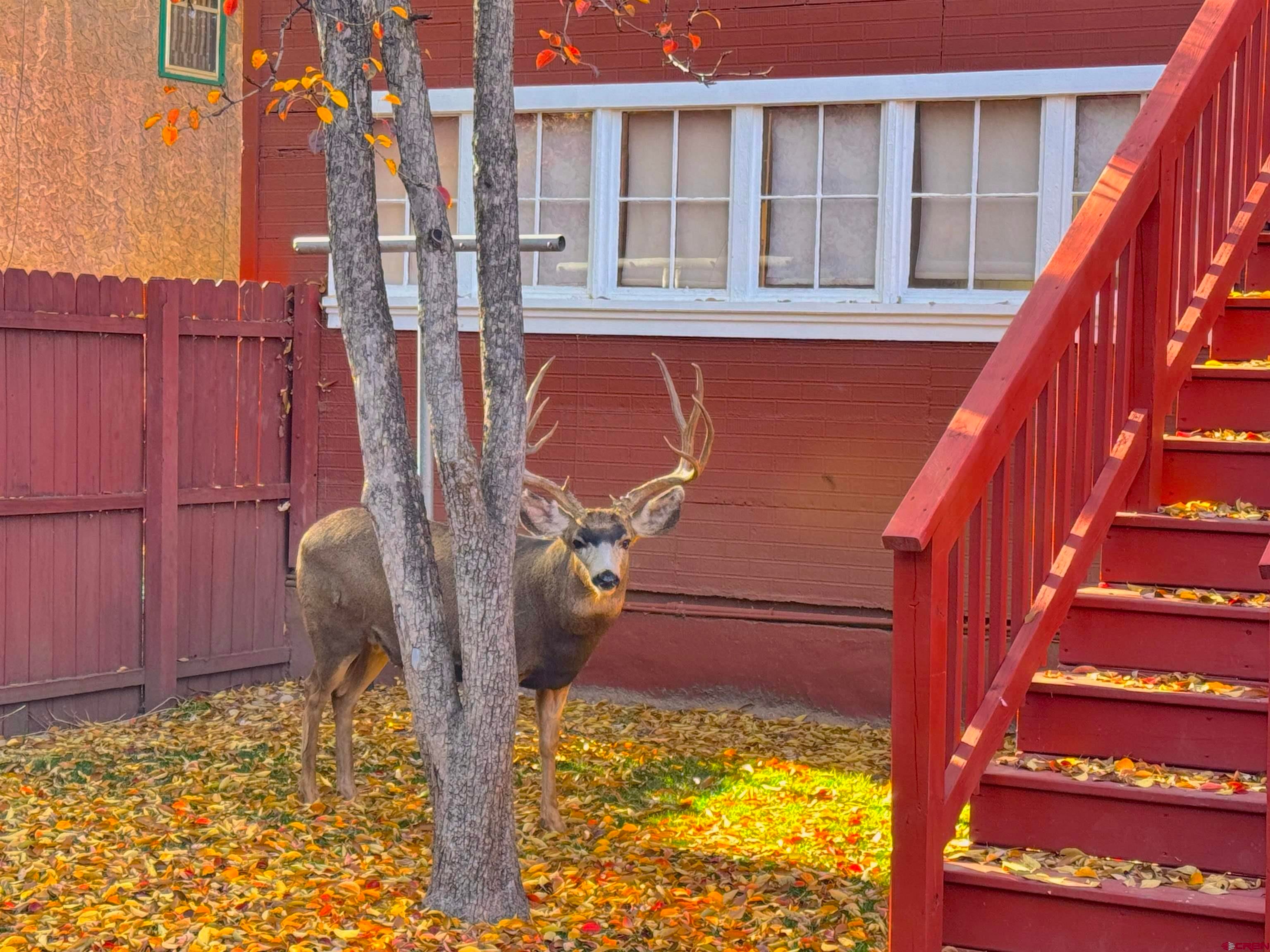Durango, Colorado, 81301, United States, 4 Bedrooms Bedrooms, ,2 BathroomsBathrooms,Residential,Active,1993608