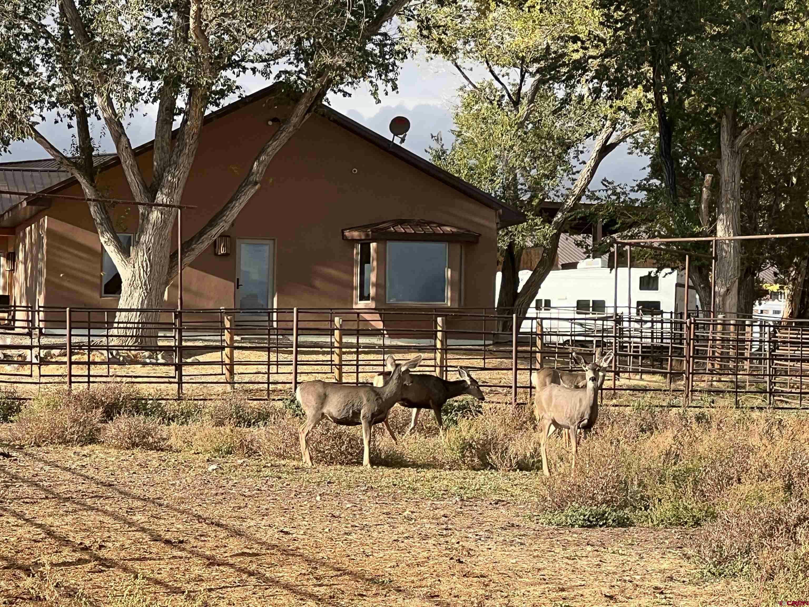 Montrose, Colorado, 81401, United States, ,2 BathroomsBathrooms,Residential,Active,1703370