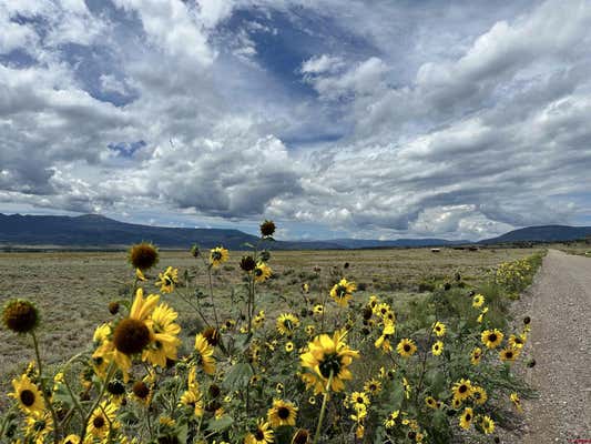 TBD COUNTY ROAD 71, DEL NORTE, CO 81132 - Image 1