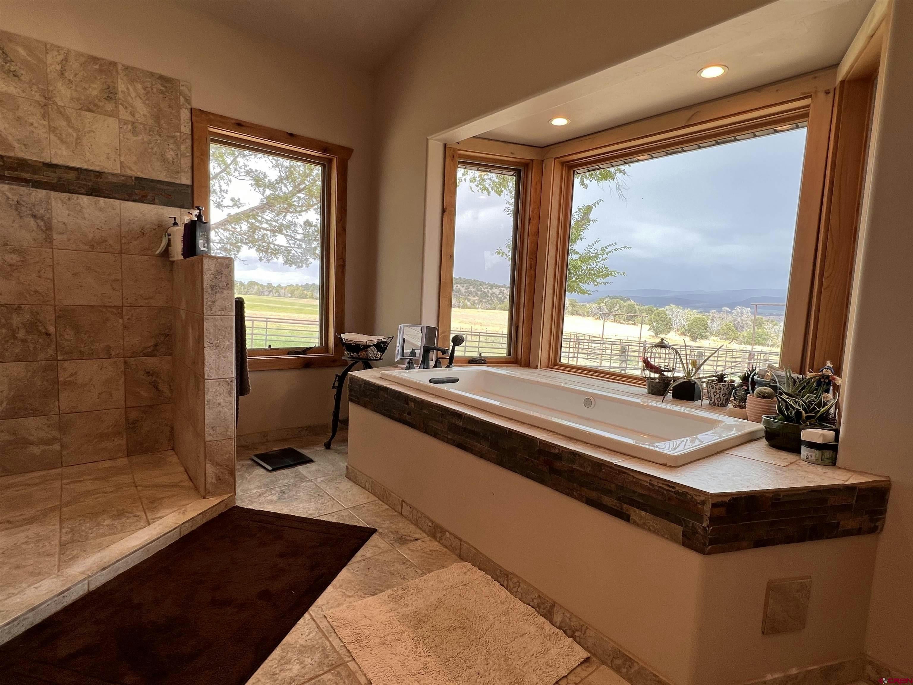 Montrose, Colorado, 81401, United States, ,2 BathroomsBathrooms,Residential,Active,1703370