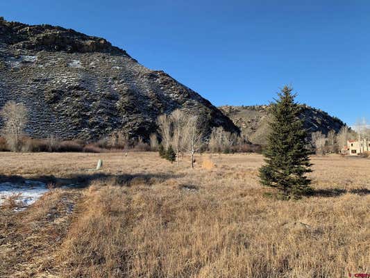 96 TOMICHI CREEK LOOP, GUNNISON, CO 81230, photo 4 of 11