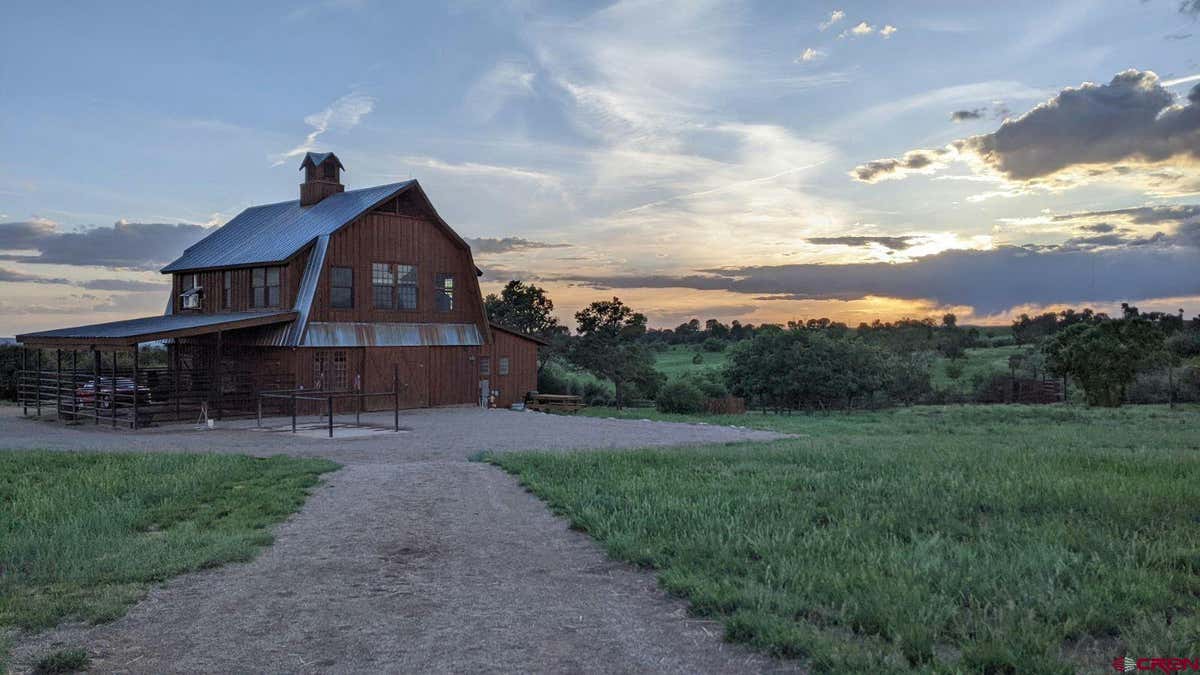 1267 COUNTY ROAD 126, HESPERUS, CO 81326, photo 1 of 35