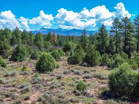 LOT 3 39.2, MANCOS, CO 81328 - Image 1