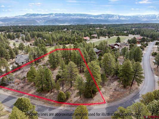 TBD LOT 439 S BADGER TRAIL, RIDGWAY, CO 81432 - Image 1