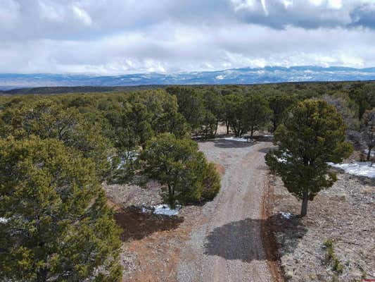 1065 CANYON RIDGE RD, MONTROSE, CO 81403, photo 1 of 22