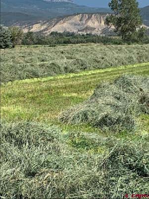 LOT: 1 HIGHWAY 550, MONTROSE, CO 81403, photo 2 of 4