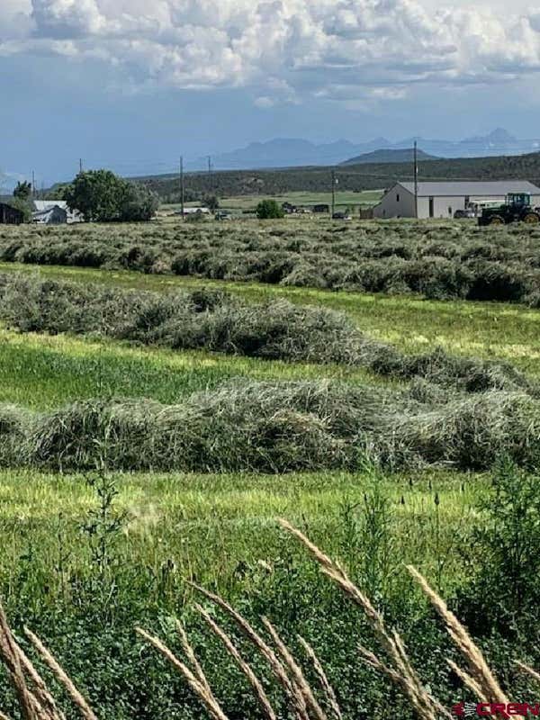 LOT: 1 HIGHWAY 550, MONTROSE, CO 81403, photo 1 of 4