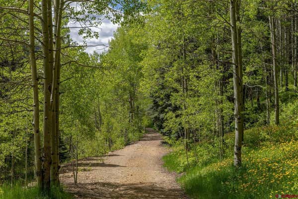 LOT 6 DOLORES RIVER TRAIL, RICO, CO 81332 - Image 1