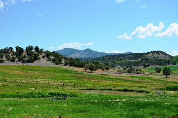 8866 STATE HIGHWAY 151, IGNACIO, CO 81137 - Image 1