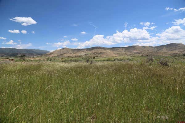 TBD MIGUEL ROAD, MONTROSE, CO 81401 - Image 1