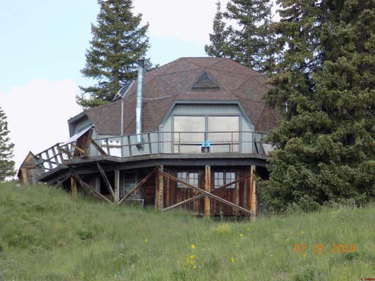 95 GENEVA LOOP, PITKIN, CO 81241 - Image 1