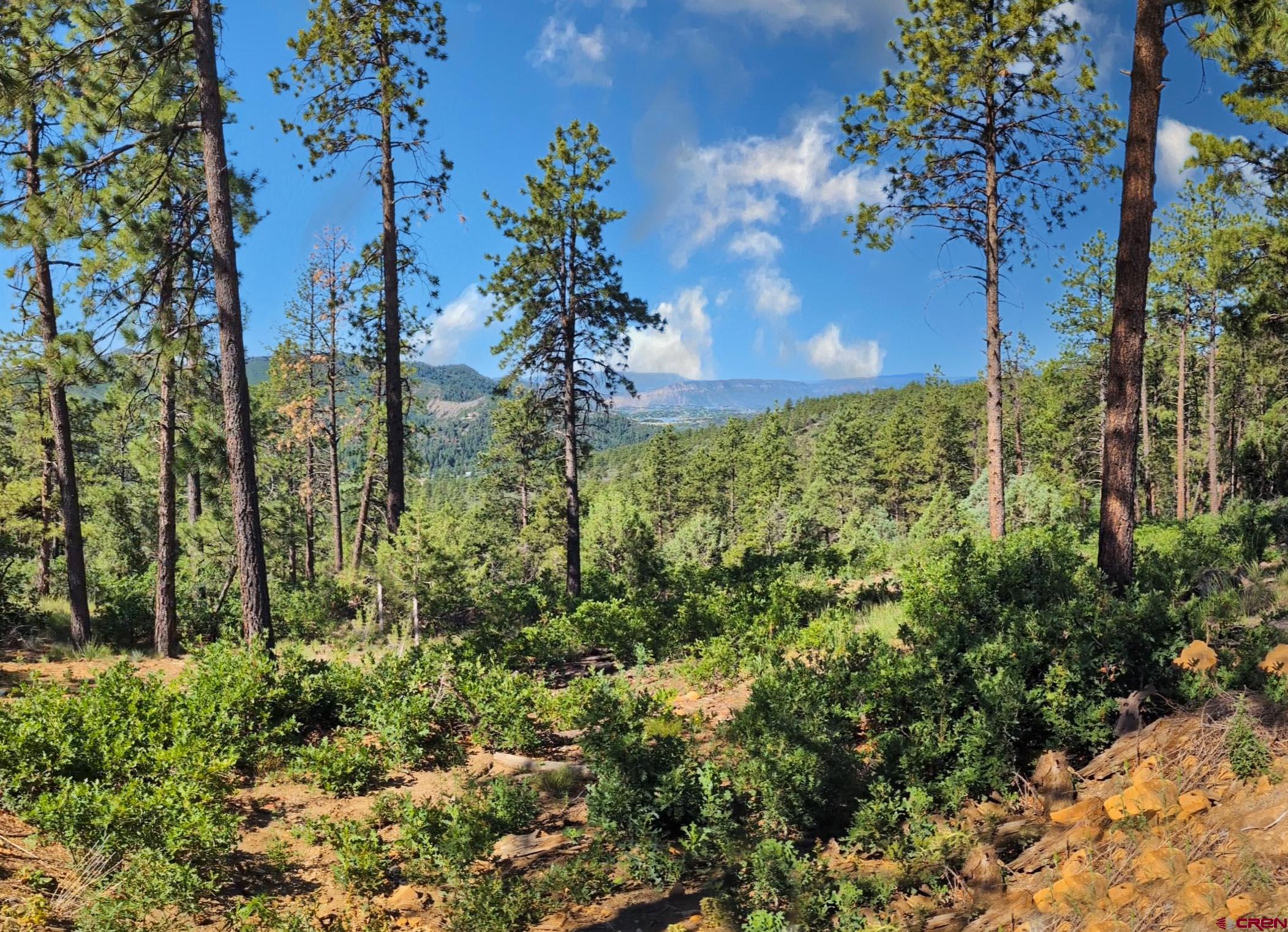 Durango, Colorado, 81301, United States, 3 Bedrooms Bedrooms, ,3 BathroomsBathrooms,Residential,Active,2017084