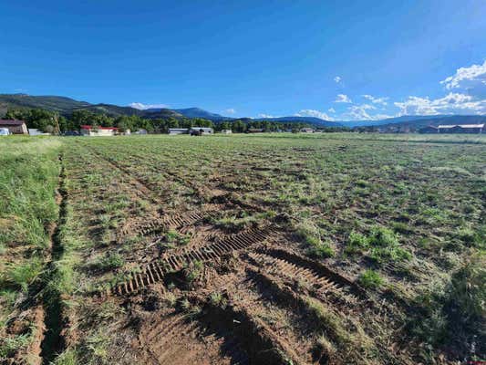 TBD ORONDOA RD, SOUTH FORK, CO 81154, photo 3 of 4