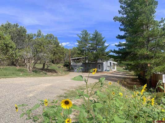 26767 CEDAR MESA RD, CEDAREDGE, CO 81413 - Image 1