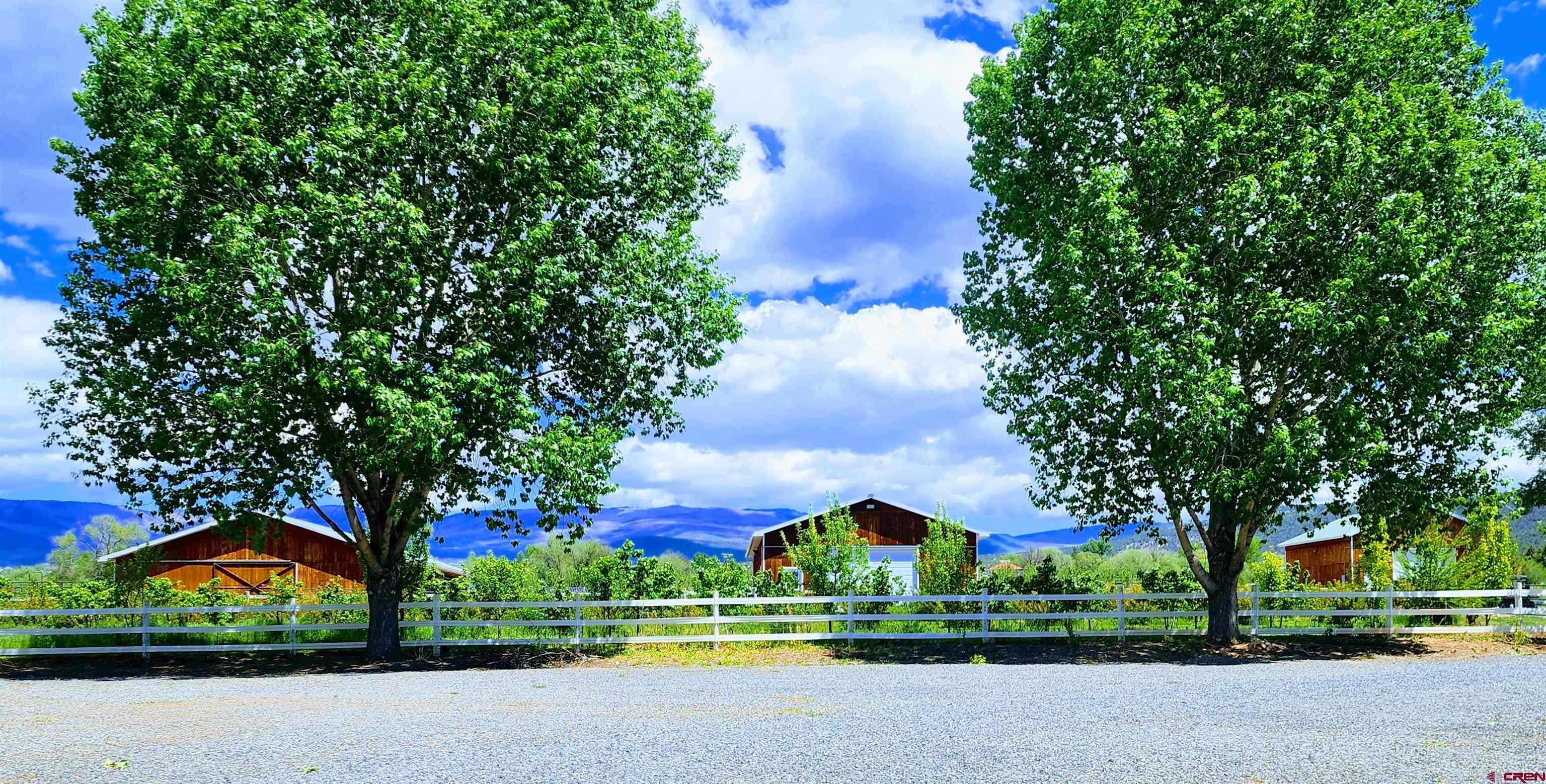 Cedaredge, Colorado, 81413, United States, ,2 BathroomsBathrooms,Residential,Active,1828975