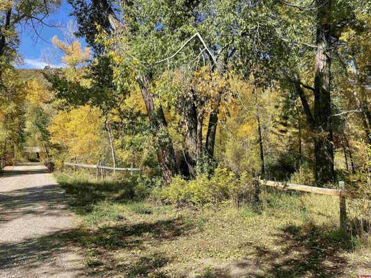 23115 HIGHWAY 140, HESPERUS, CO 81326, photo 3 of 30