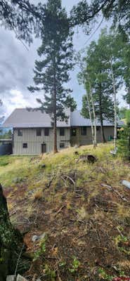 1113 SPRING STREET, JASPER, CO 81132 - Image 1