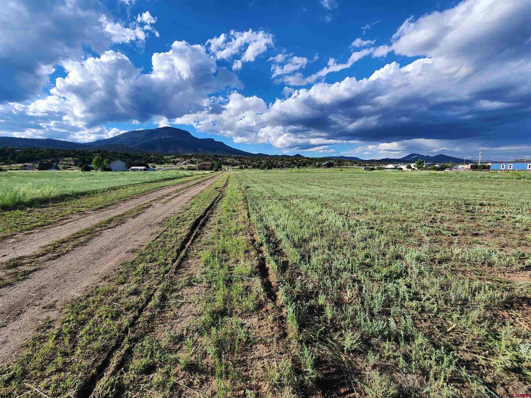 TBD ORONDOA RD, SOUTH FORK, CO 81154, photo 1 of 4