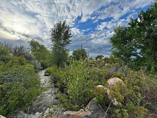 10253 3250 RD, HOTCHKISS, CO 81419, photo 4 of 35