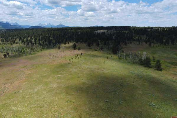 40 AC TBD 62X ROAD, PLACERVILLE, CO 81432, photo 5 of 31