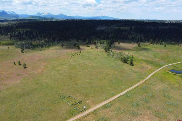 40 AC TBD 62X ROAD, PLACERVILLE, CO 81432, photo 4 of 31