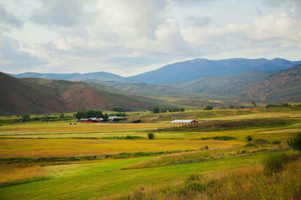 4042 COUNTY ROAD 76, PARLIN, CO 81239 - Image 1