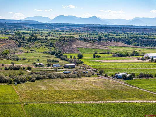 TBD BULL MESA ROAD, CEDAREDGE, CO 81413 - Image 1