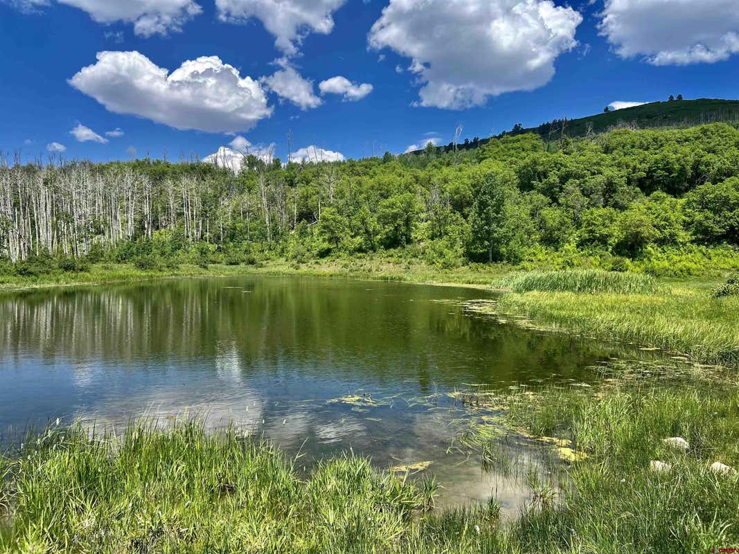 000 GROUNDHOG RESERVOIR ROAD # POND ROCK ELK & CATTLE, DOLORES, CO 81323, photo 1 of 35