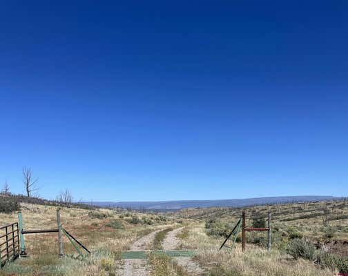 TBD U29 ROAD, NORWOOD, CO 81431 - Image 1