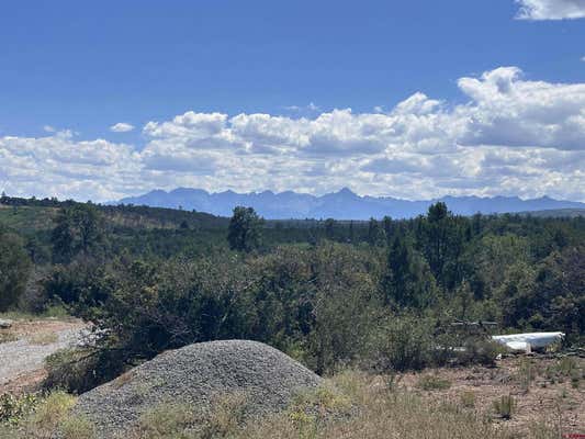 450 BARNES POINT DR, MONTROSE, CO 81403, photo 4 of 20