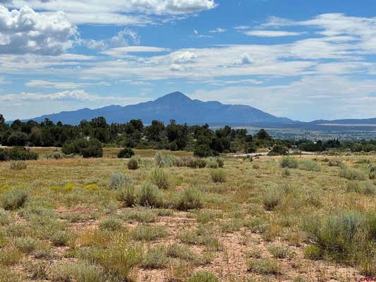 TBD ROAD 25, DOLORES, CO 81323 - Image 1