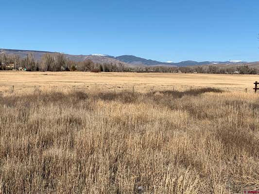 344 TOMICHI CREEK LOOP, GUNNISON, CO 81230, photo 2 of 11