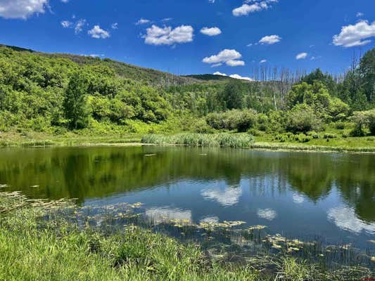 000 GROUNDHOG RESERVOIR ROAD # POND ROCK ELK & CATTLE, DOLORES, CO 81323, photo 3 of 35