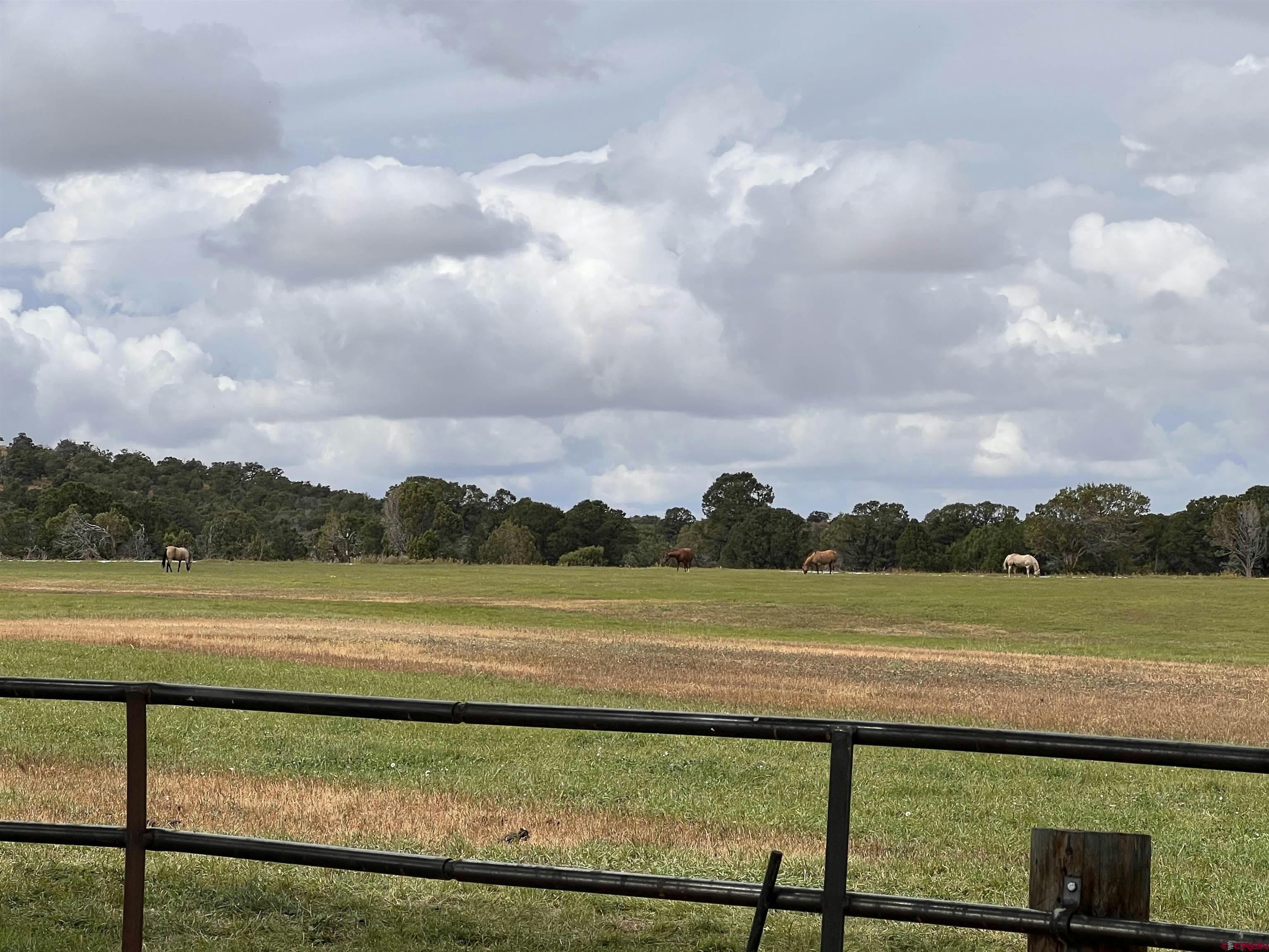 Montrose, Colorado, 81401, United States, ,2 BathroomsBathrooms,Residential,Active,1703370