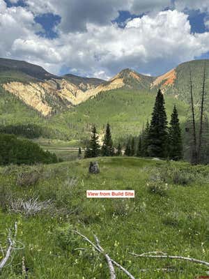 X FOREST SERVICE ROAD 250, PLATORO, CO 81120 - Image 1