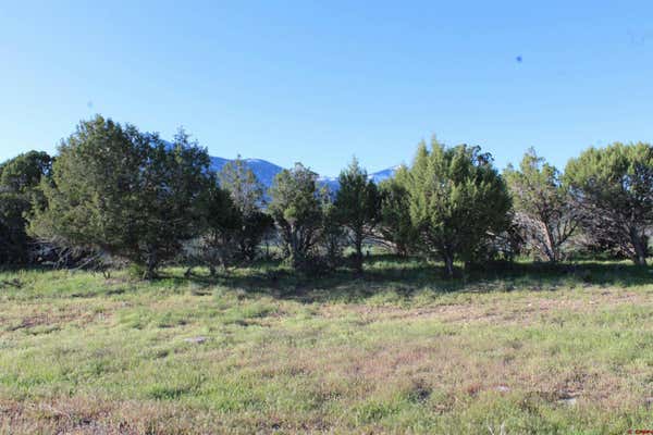 TBD HIDDEN MESA LANE, PAONIA, CO 81428 - Image 1