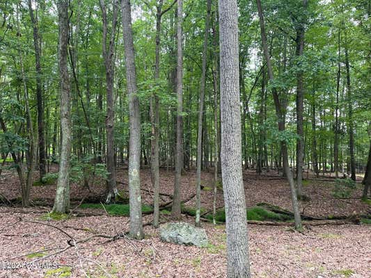 LOT 32 D NAVAHO DRIVE, HAZLETON, PA 18202 - Image 1