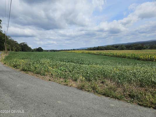 HOOKIES GROVE ROAD, NORTHUMBERLAND, PA 17857 - Image 1