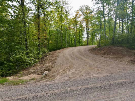 LOT 1 GRUNDY ROAD, TOMAHAWK, WI 54487 - Image 1