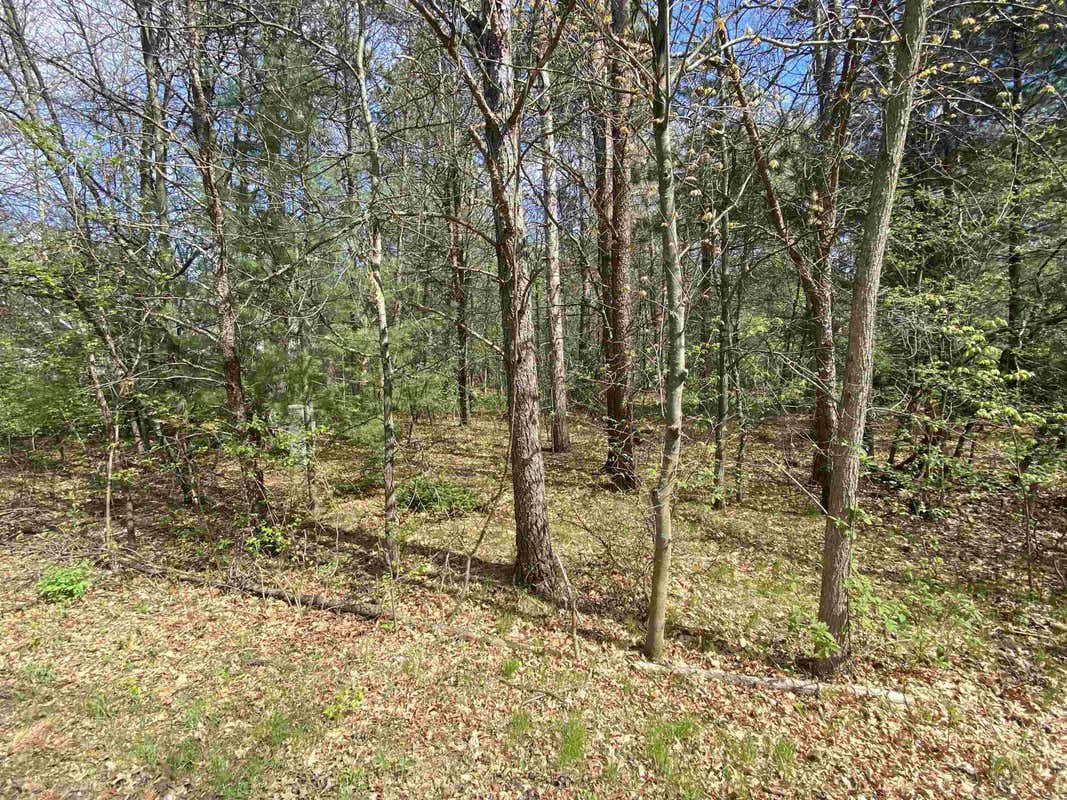 LOT 5 SKYLINE DRIVE, STEVENS POINT, WI 54482, photo 1 of 5